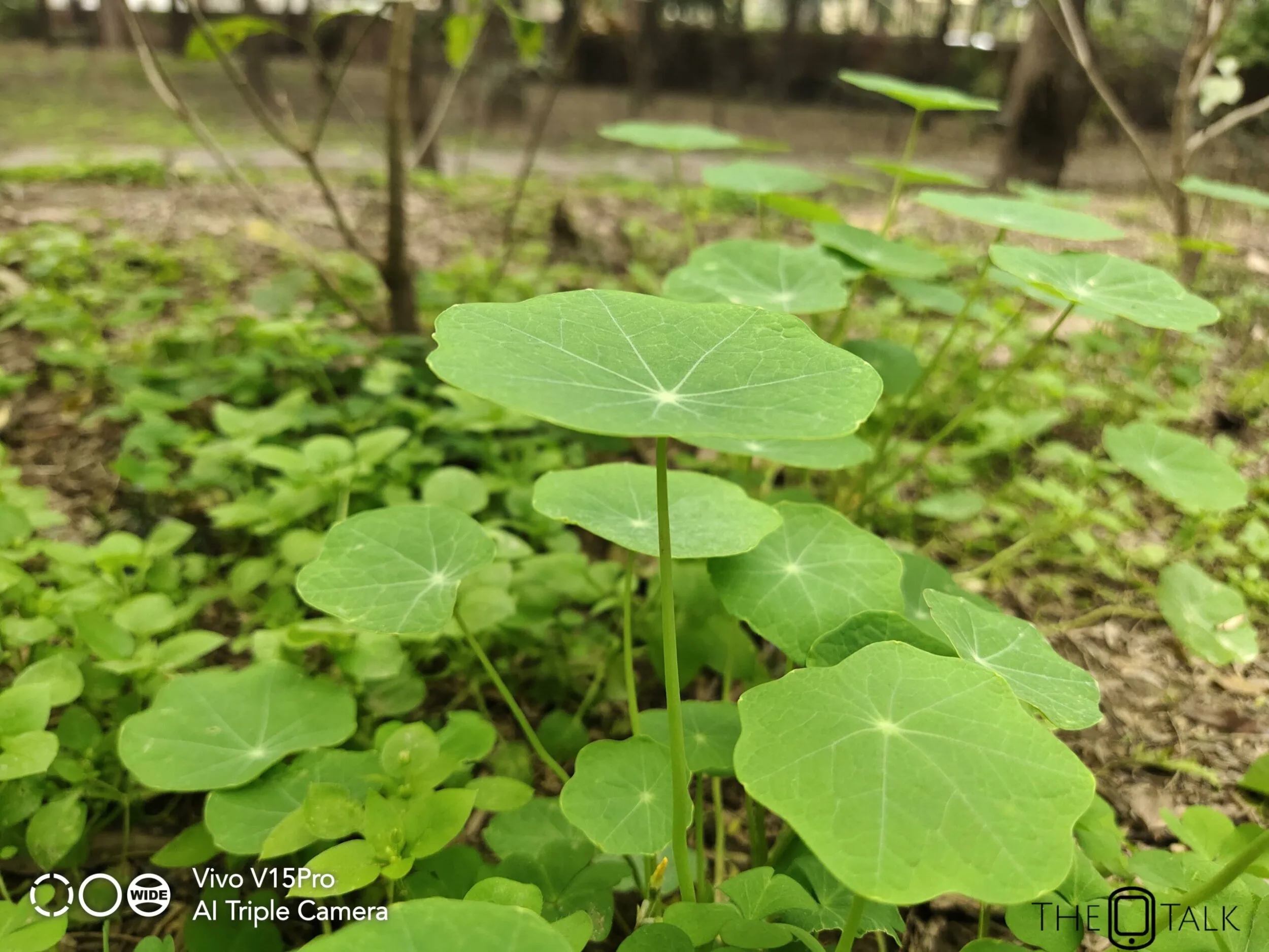 Vivo V15 Pro Review 23