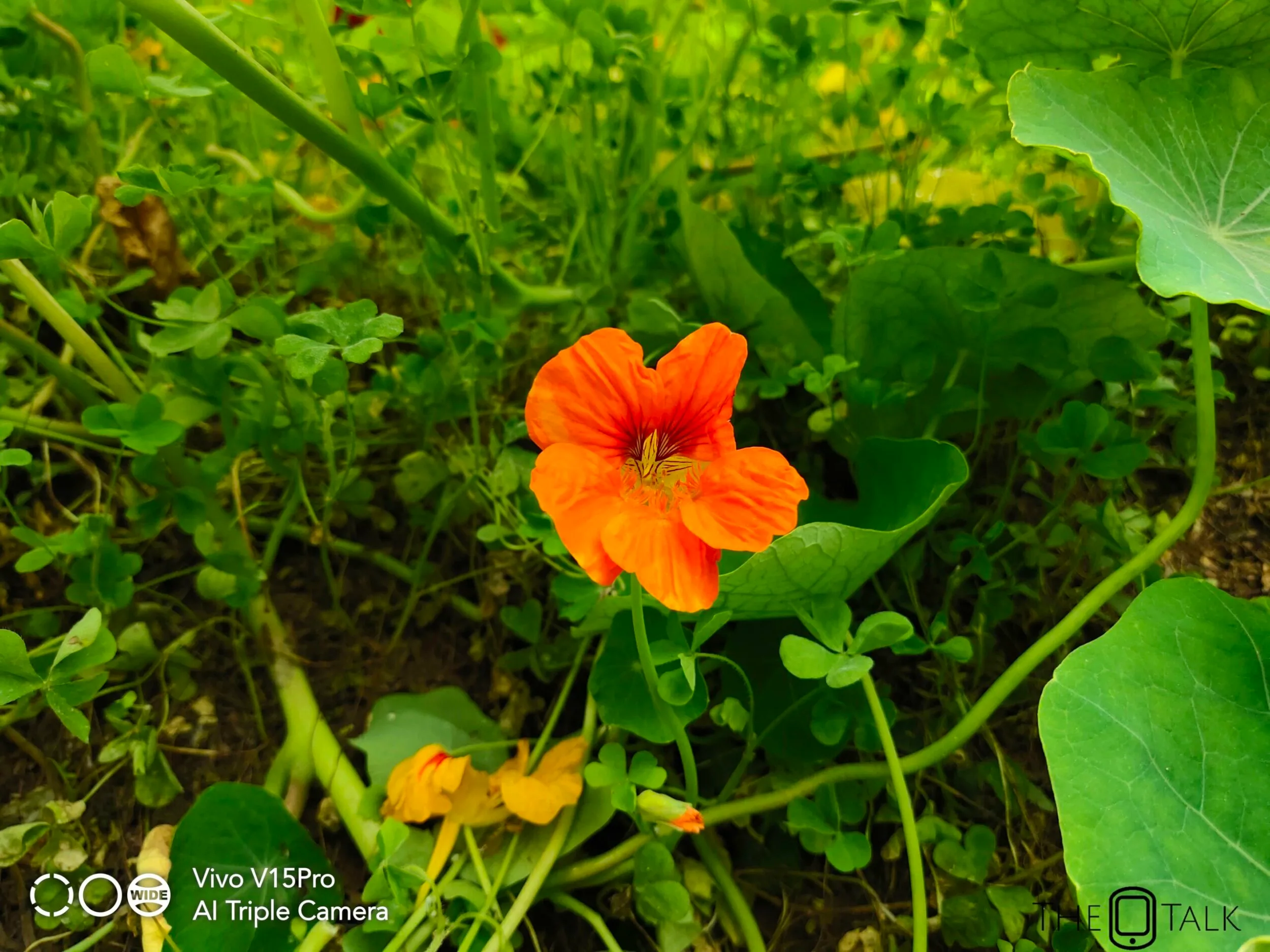 Vivo V15 Pro Review 24