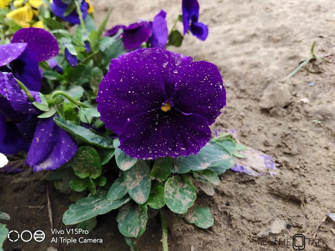 Vivo V15 Pro Review 24