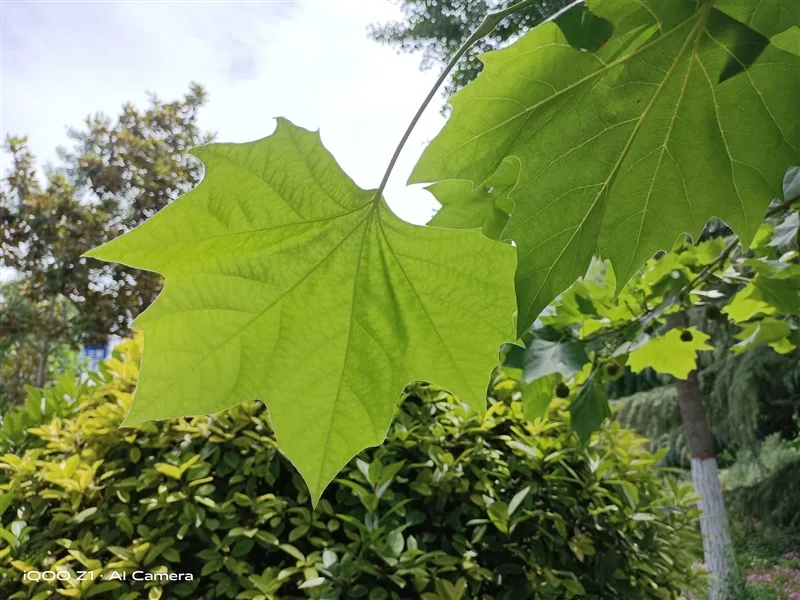 iqoo-z1-5g-phone-review-10-2