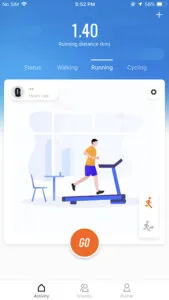 Mi Fit 2