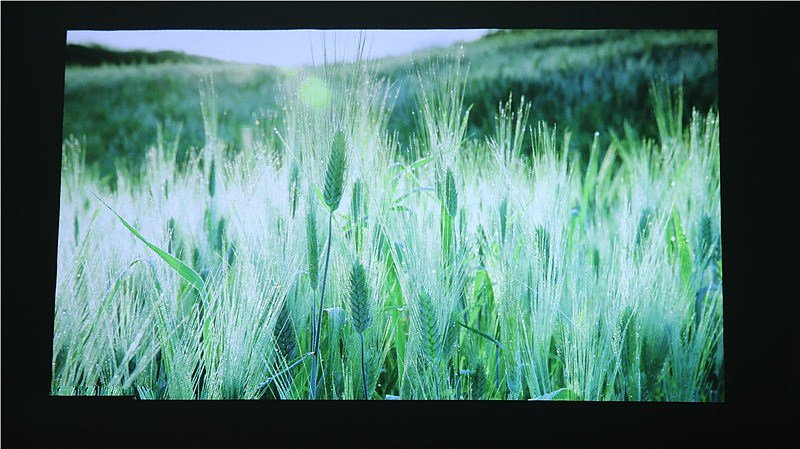Wemax One Pro fmws02c Review - Projection test 150 inch screen