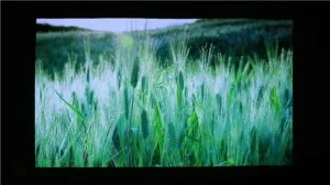 Wemax One Pro fmws02c Review - Projection test Dark Night
