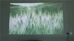 Wemax One Pro fmws02c Review - Projection test Day light