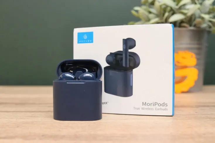 Haylou-MoriPods-Manual-4