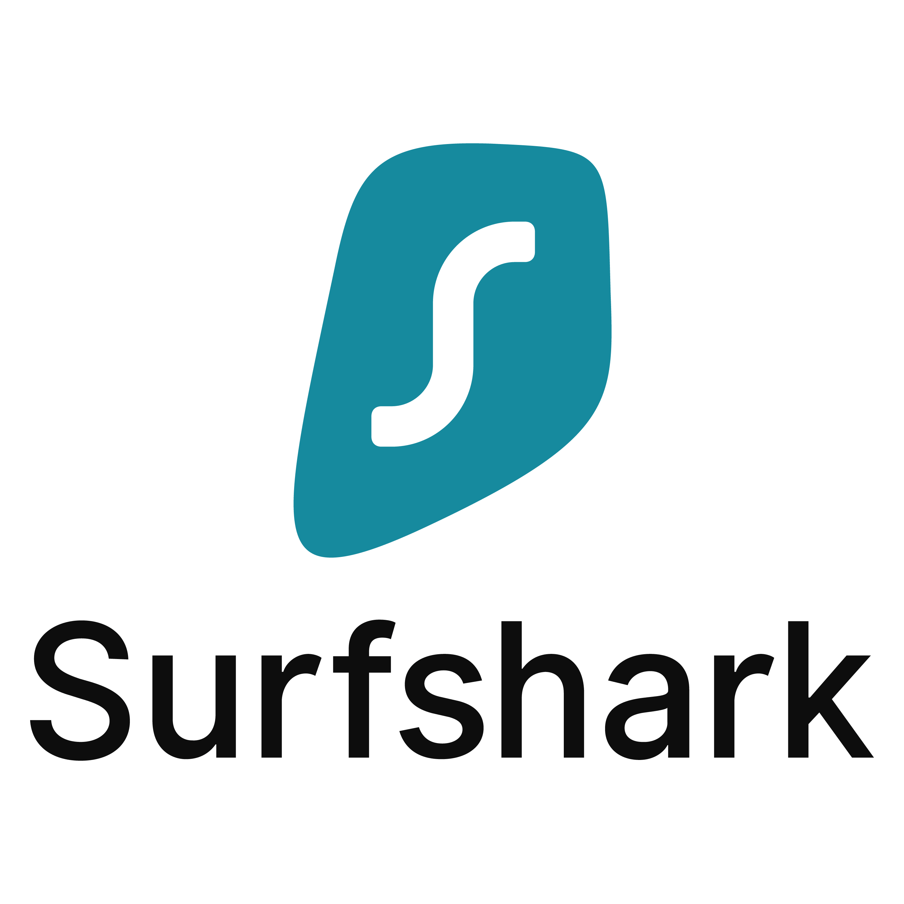 SURFSHARK VPN