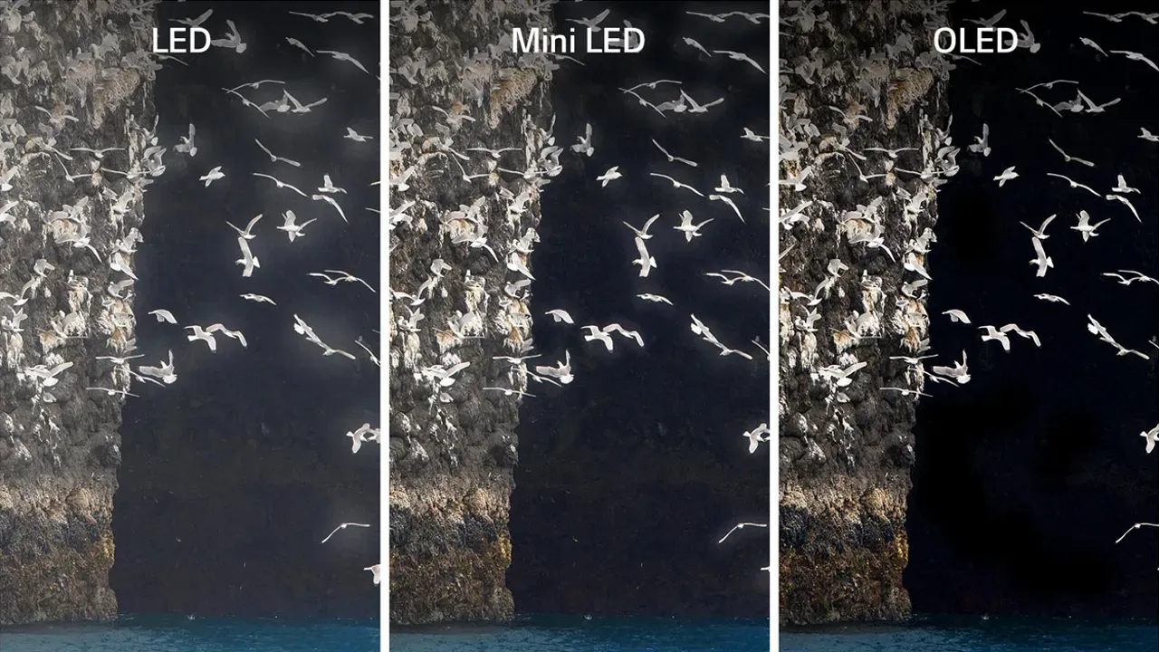 OLED vs Mini LED vs LED